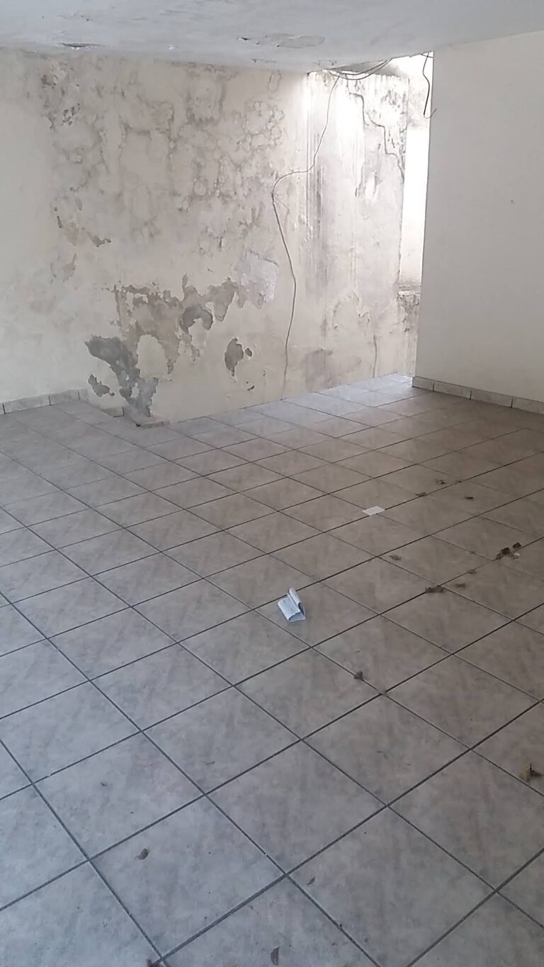 Sobrado em Vila Carmosina