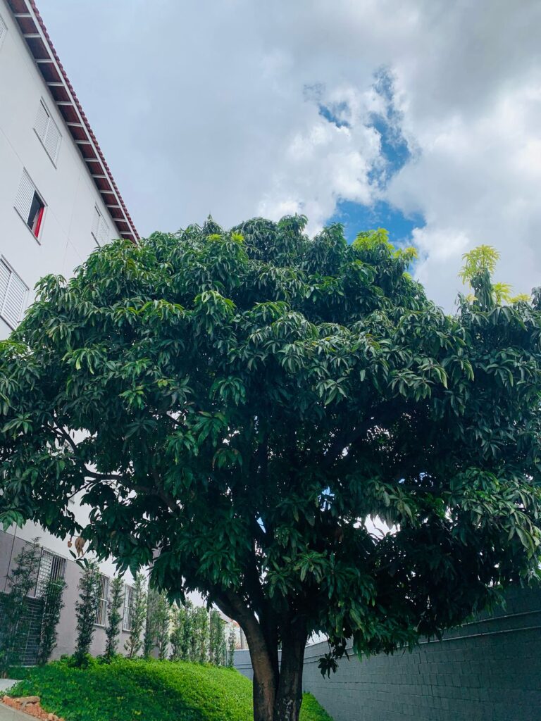 Apartamento em Itaquera