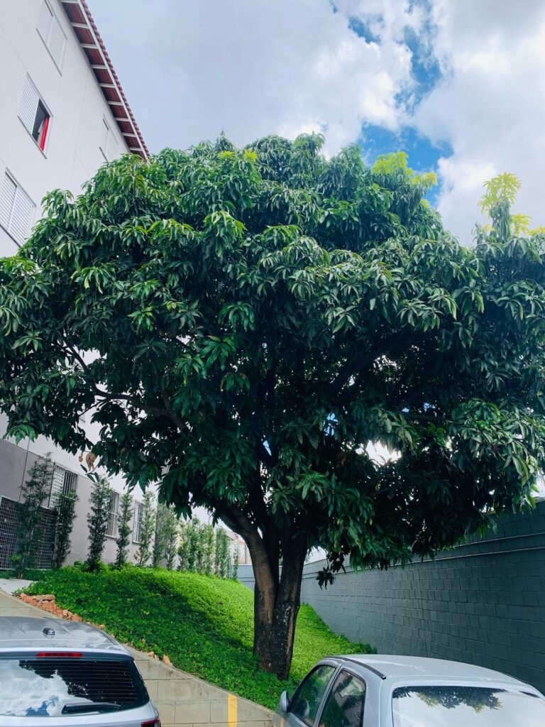 Apartamento em Itaquera
