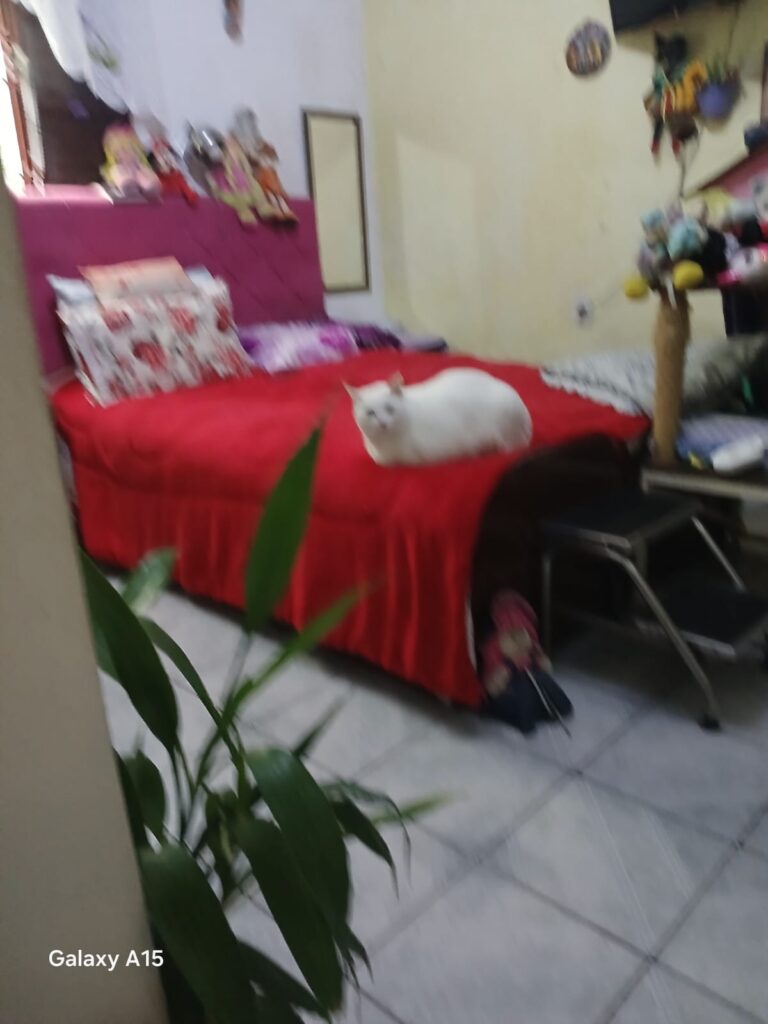 Casa em Jardim Iguatemy