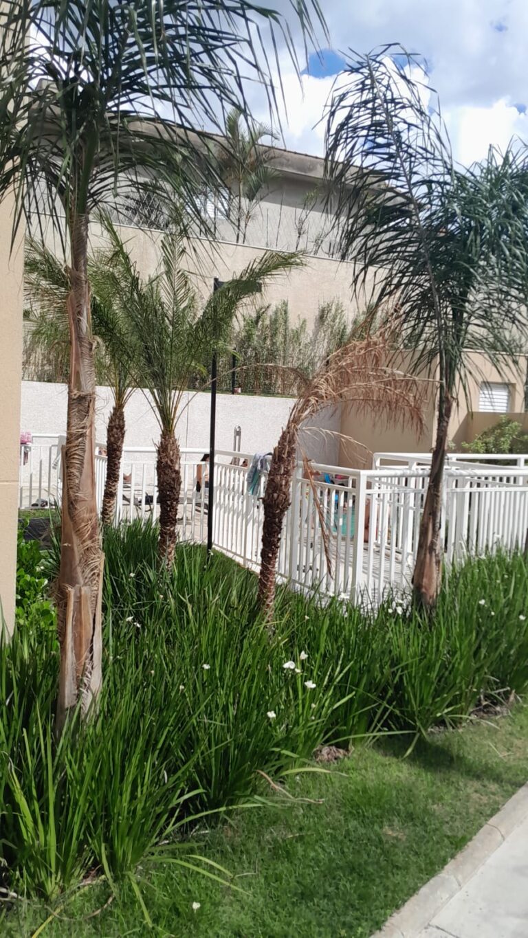 Apartamento em Vila Carmosina